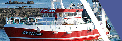 Arco-Marine Antaeus